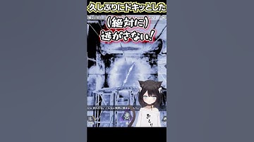 【#apex】APEXはやっぱりホラゲーだったか…　#保護猫  #新人vtuber  #apexlegends