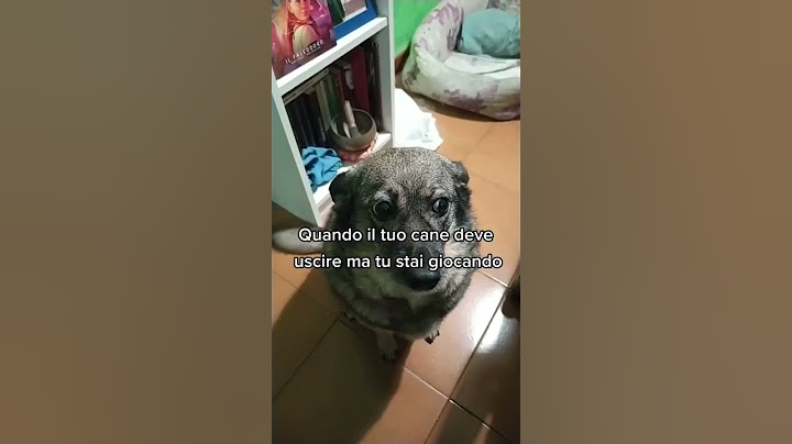 Quando il tuo CANE deve uscire ma tua stai GIOCANDO