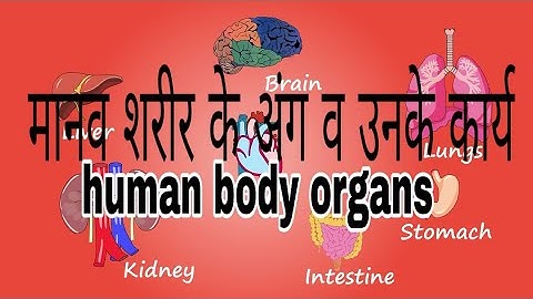 Human body organs in hindi || मानव शरीर के अंग व उनके कार्य ||