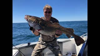 видео: Ловля трески и терпуга на банке Зубра, уникальные подводные съемки на глубине 53 метра картинка: Ловля трески и терпуга на банке Зубра, уникальные подводные съемки на глубине 53 метра