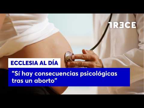 "Fetal pain perception is more than proven from the second and third trimester onwards"