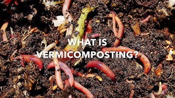 What is Vermicomposting?