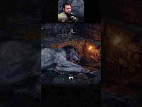 Шерстяной parallax Elden Ring