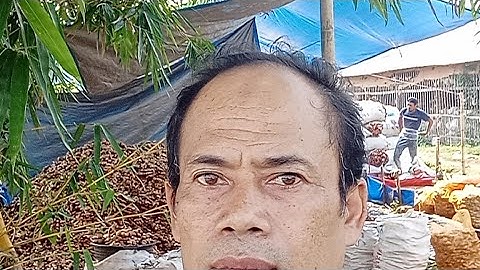 Proses Cuci Jahe Buat Export