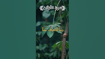 سورة الفرقان🤍بصوت القارئ عمير شميم#القرآن_الكريم#اكسبلور#المغرب #راحة_نفسية #الجزائر #السعودية#لايك