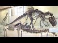 In Search Of History - Secrets Of The Dinosaur Hunters (History Channel Documentary)