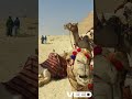 أسرار الملوك الملك سوبك حتب الأول ملك الحضارة المصرية أسرار الملوك الملك سوبك حتب الأول ملك الحضارة المصرية