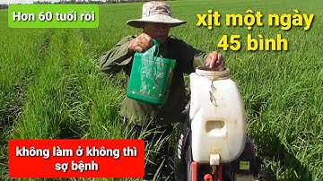 Nghề phun thuốc mướn, gặp bác 3 TÀI đã ngoài 60 mà vẫn còn quá khỏe