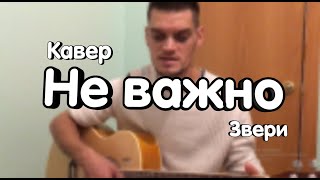 Звери - НЕ ВАЖНО (кавер)