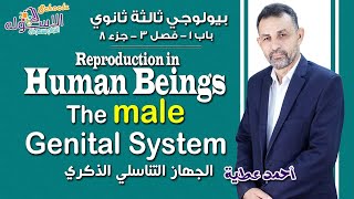 شرح بيولوجي ثانوية عامة| Reproduction in Human Beings-The Male Genital System |باب1-ف3-ج8| الاسكوله