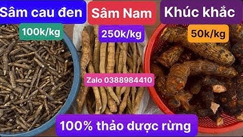 Sâm Nam núi Dành (sâm tiến vua), sâm cau đen, khúc khắc ngọt (thổ phục linh)￼ 