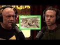 Jimmy Corsetti Calls Gobekli Tepe An Ancient Conspiracy Theory Jimmy Corsetti Calls Gobekli Tepe An Ancient Conspiracy Theory