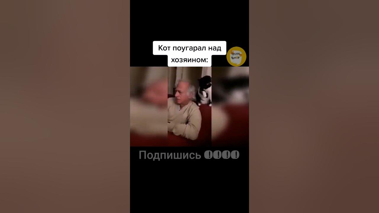 Хозяин над вассалами 7 букв сканворд. Хозяин над вассалами 7 букв сканворд. Хозяин над вассалами 7 букв сканворд. Инвеститура это в средние века. Вассал.