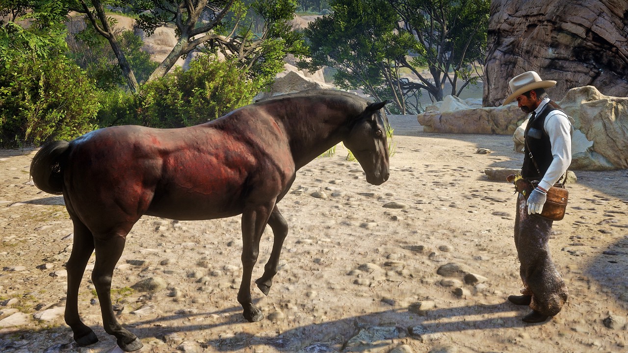 Джон Марстон приручил редкого андалузского темно-гнедого коня в верховьях реки Монтана | RDR2