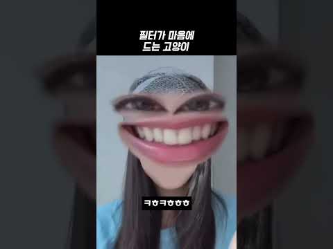 뉴진스 필터가 맘에 드는 고양이 해린 #newjeans #뉴진스 #danielle #뉴진스 #hanni #imsupershy