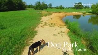 Shelby Farms Dog Park