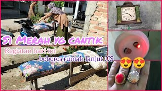 Kegiatan Irt Daily Vlog Beres² Rumah Lanjut Dinas Kedua Ikut Suami Ngonten Chanel
