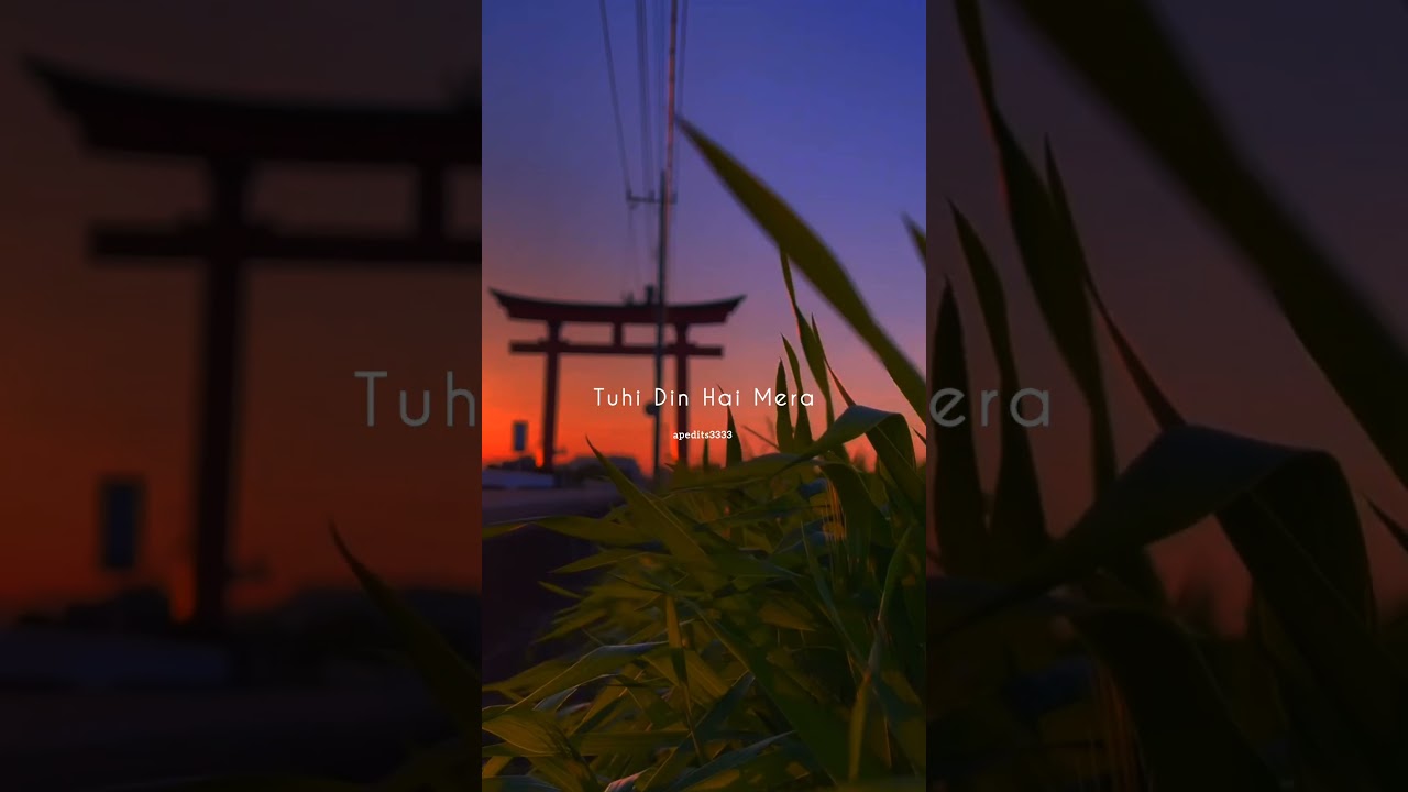 Tu hi meri shab hai🫶/ whatsapp status/ lyrics video /🥀