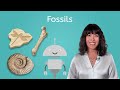 Fossils - Earth Science for Kids!