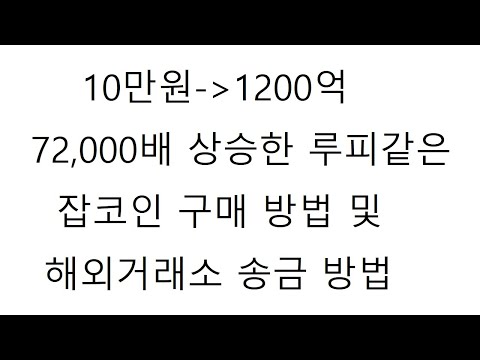   72 000배 상승한 루피코인같은 잡코인 구매방법 및 해외거래소 송금법