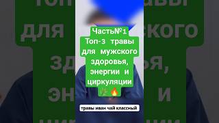 [Часть№1]Топ-3 травы для мужского здоровья, энергии и циркуляции 🌿🔥