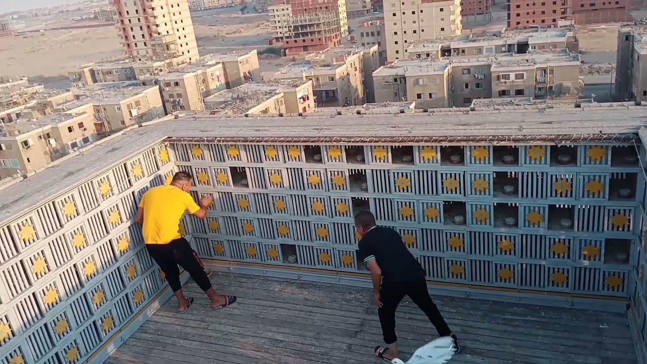 اتفرج الزعيم#رضا_الجمال خلي الحمام سافر بجد حمامتين ١٣ مجرمين_حرب#حسين_الخطيب