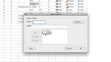 SPSS  Data View and Variable View 1 1