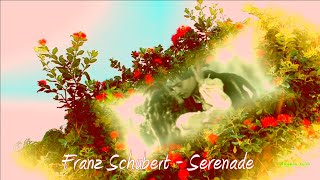 Franz Schubert   Serenade