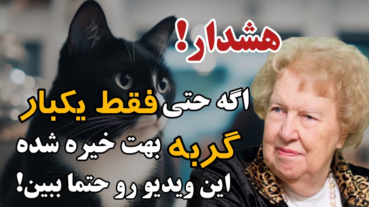 راز عجیب گربه ها! اگه گربه ای به تو خیره شده این یه هشداره و از کنارش رد نشو!