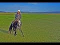 💙 Cazando caballos en Mongolia 🐎🐎🐎🐎