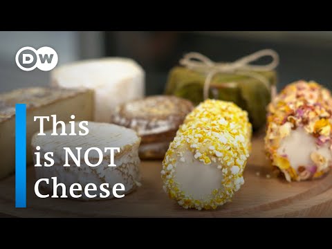 Wideo: Czy płomień ma wegański ser?
