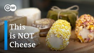 Is Vegan Cheese The Future?