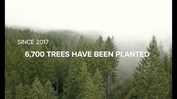 The Paperless Trees Project
