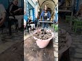 هاو الببوش حي تعد ى بالبرويطة قلب السوق كامل 
