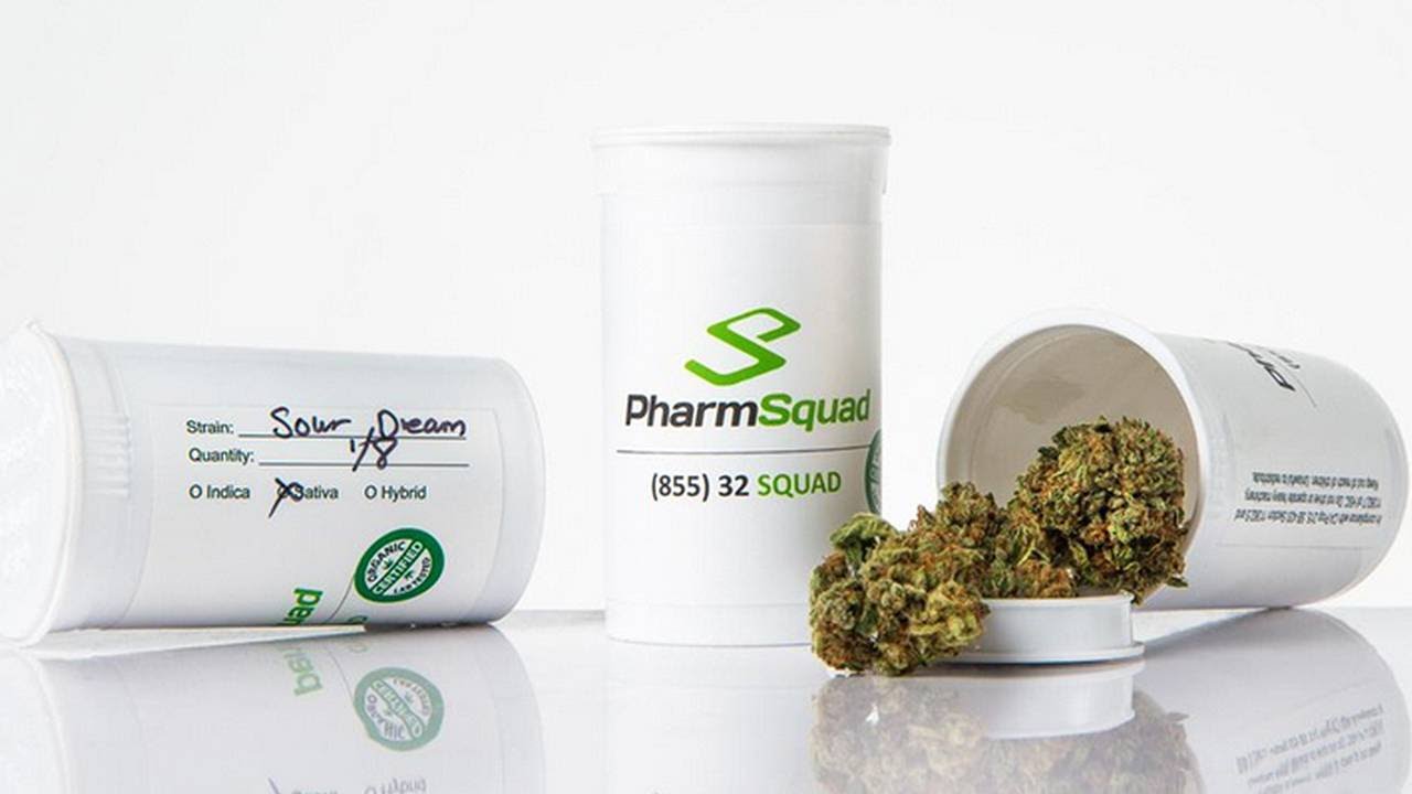 Pot Business Boom Only in ‘Second Inning’ Says Kush CEO Pot Business Boom Only in ‘Second Inning’ Says Kush CEO