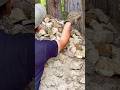 (22)森で最悪なエリアを、最高の場所に開拓！(山小屋の暖炉作り)