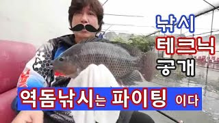 역돔낚시,설동낚시터, 낚시방법.채비 테크닉 신국진 완죤 공개 역돔낚시,설동낚시터, 낚시방법.채비 테크닉 신국진 완죤 공개