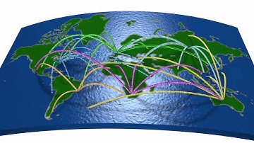 Future of The Internet: Boutique Networks