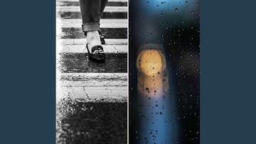 Luxurious Backdrops for Storms and Studies