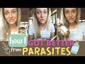 How i got better from parasites 