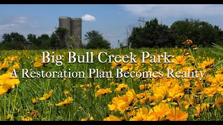 Big Bull Creek Restoration Webinar screenshot 2