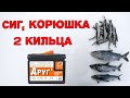 Сиг, корюшка, 2 кильца. Рыбалка в Карелии. Обзор рыболовного ящика "Друг 2".