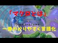 【ポケモンユナイト】上級者向け！「マクロ」についてyoutubeで最もわかりやすく解説！の巻【詳細解説㊻】【ゆっくり解説】【Pokémon Unite】