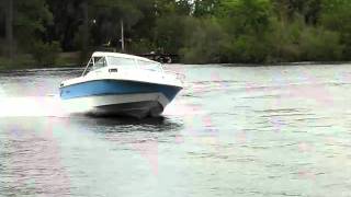 1984 Rinker 205V Cuddy Cabin- FOR SALE!!