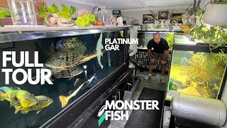 JAMIES INSANE MONSTER FISH ROOM FULL TOUR