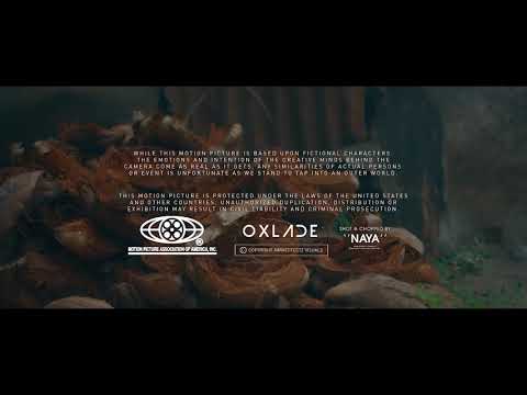 Oxlade Shugar Official Video 