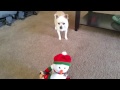 Puppy Barks at Singing Snowman