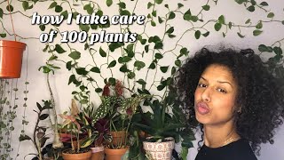 Plant tour | 100+ plants in my bedroom
