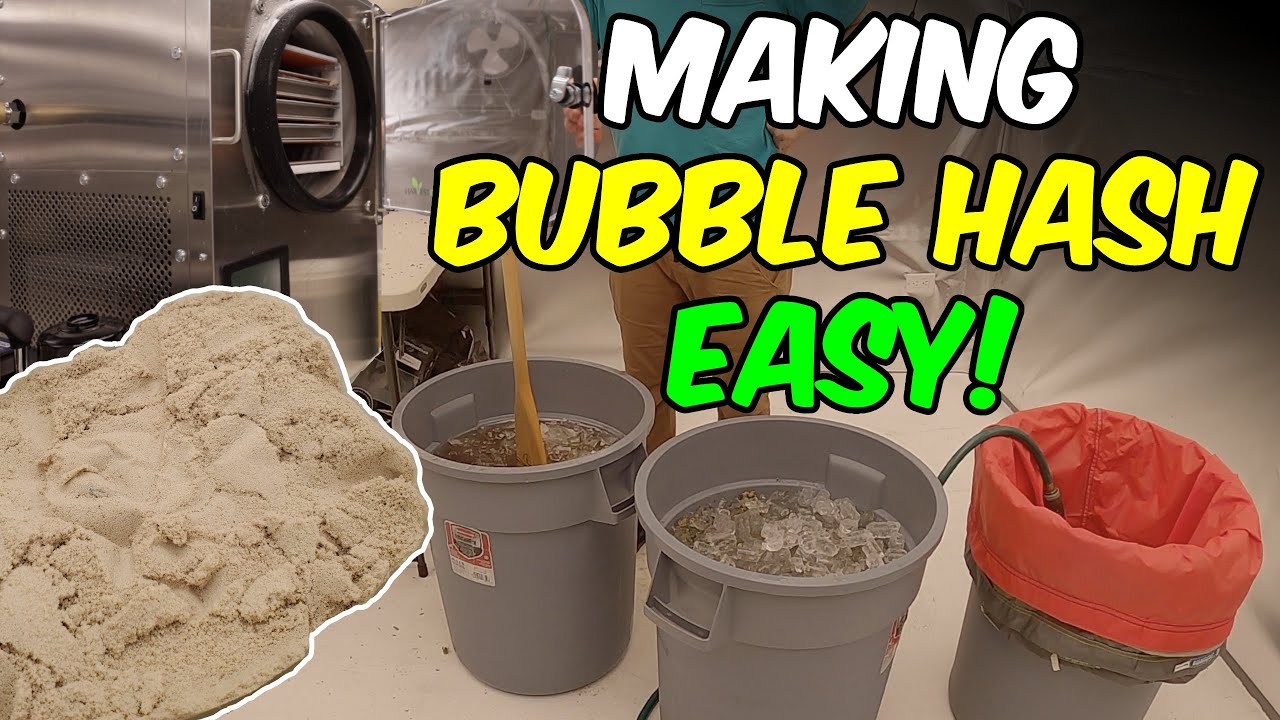 Making the BEST BUBBLE HASH using a FREEZE DRYER!!! HOW TO