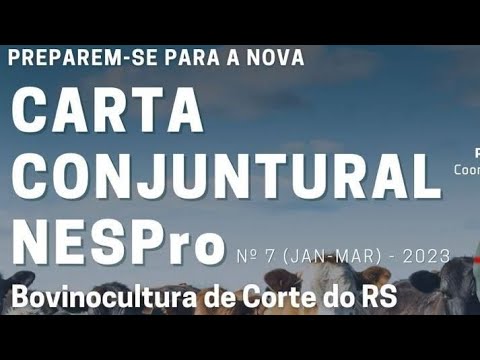 Visão Geral  Carta de Conjuntura